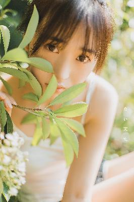 最新电视剧2025热播最火剧免费观看